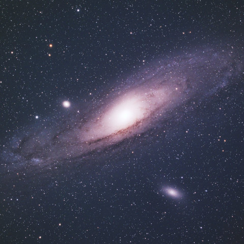 M31