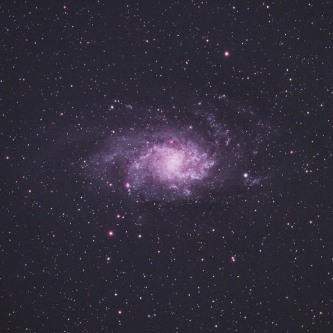 M33
