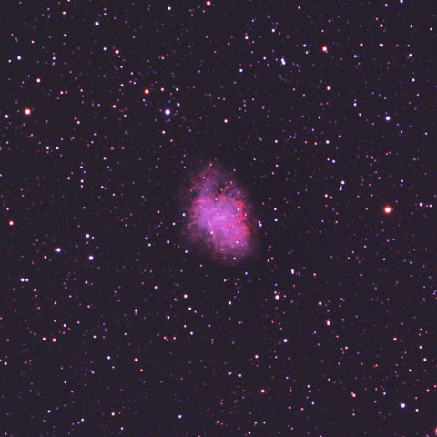 M1 (NGC1952) 超新星残骸 (かに星雲)