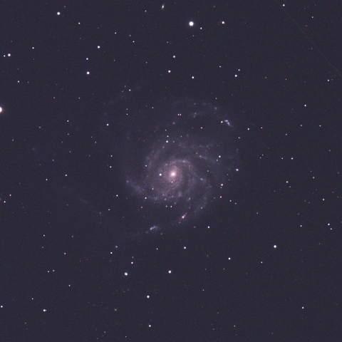 M101 (NGC5457) 銀河 (回転花火銀河)