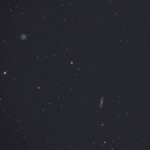 M97 (NGC3587) 惑星状星雲 (ふくろう星雲) M108 (NGC3556) 銀河