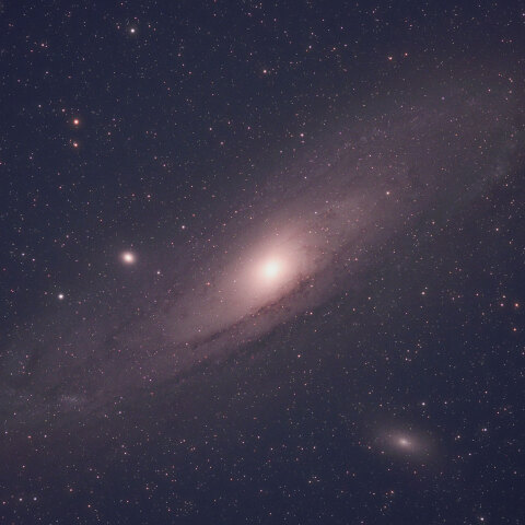 M31