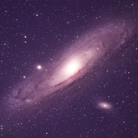 M31