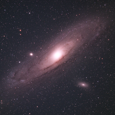 M31