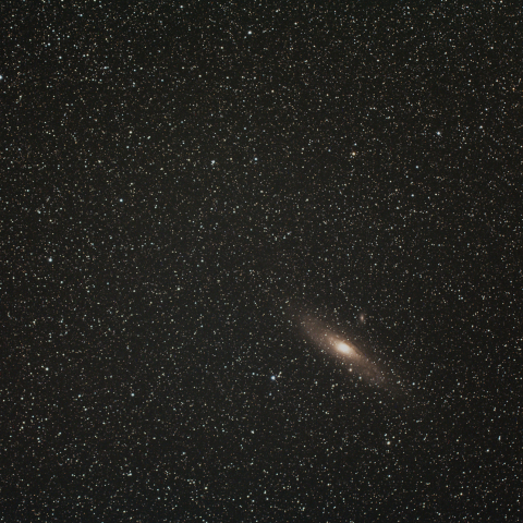 M31