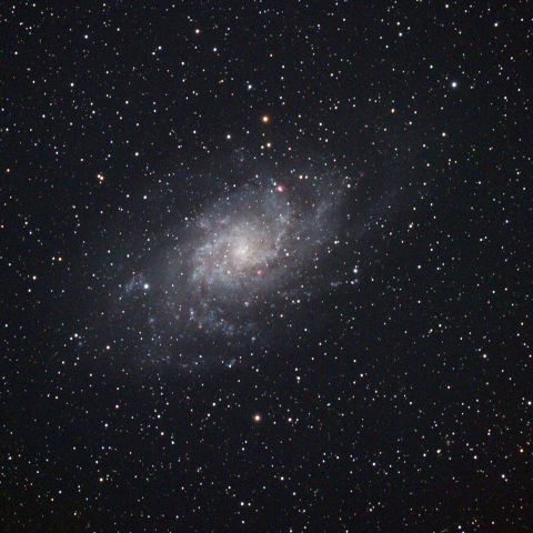 M33