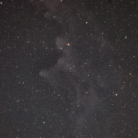 IC2118 散光星雲 魔女の横顔