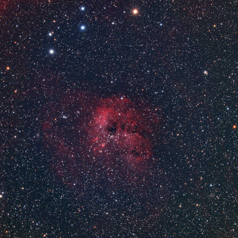 IC405 散光星雲 (勾玉星雲)