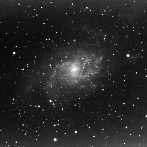 M33
