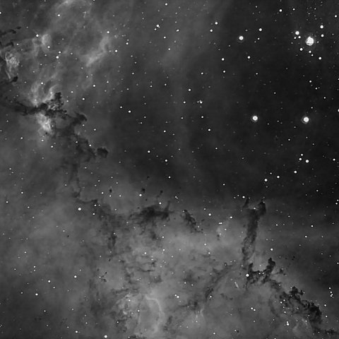 ばら星雲の暗黒星雲