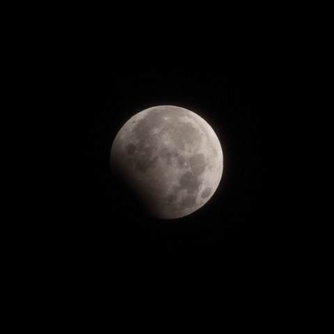 新年のお年玉　部分月食