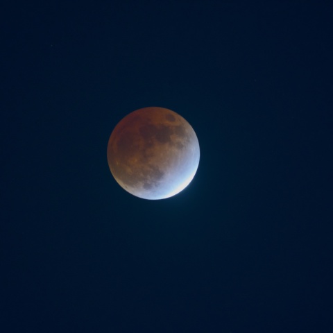 ターコイズフリンジ