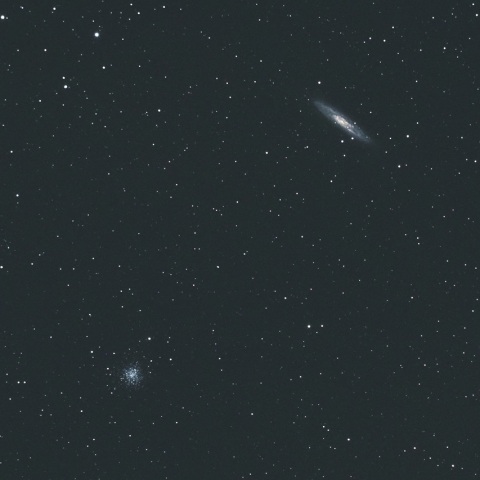 11/14 NGC253銀河とNGC288球状星団