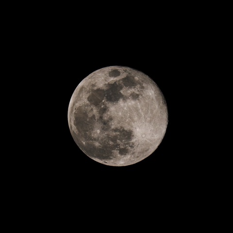 12/27 １２月の満月（月齢14.5）