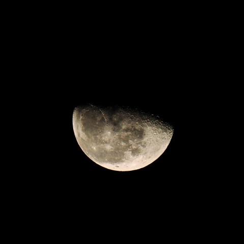 1/2 新年２日目の月（月齢20.6）