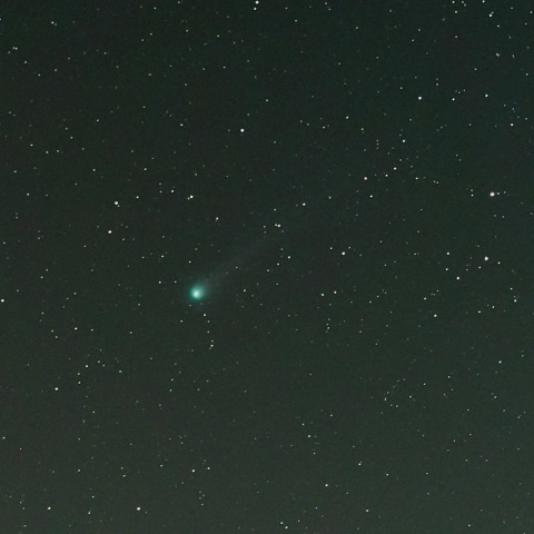 3/3 ポン・ブルックス彗星（12P）