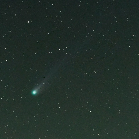 3/10 ポン・ブルックス彗星（12P）