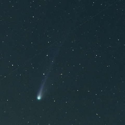 3/29 ポン・ブルックス彗星（12P）