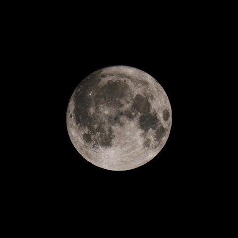 6/22未明 ６月の満月（月齢15.1）