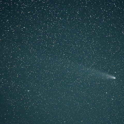 11/3 紫金山・アトラス彗星（C/2023 A3）