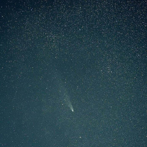 11/8 月夜の紫金山・アトラス彗星（C/2023 A3）