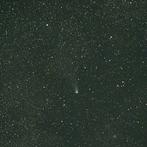 12/4 天の川を行く紫金山・アトラス彗星（C/2023 A3）