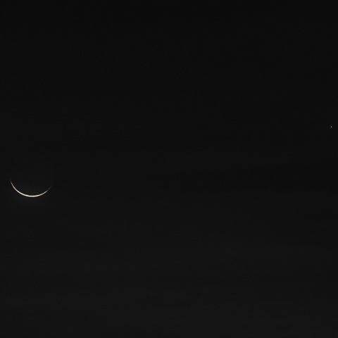 8/22未明 新月前日の極細の月（月齢28.0）と水星（-0.3等）