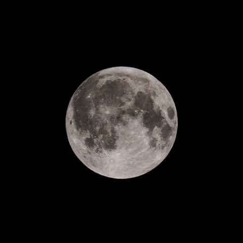 9/7 皆既月食の日 3つの満月 その1 明るい満月(月齢15.3)