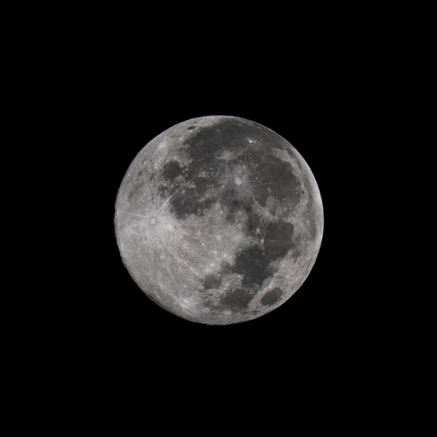 11/6未明 11月の満月は今年最大のスーパームーン(月齢15.2)