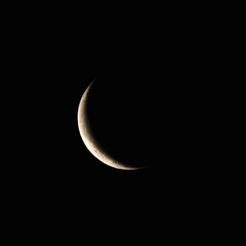 2/14未明 新月３日前の月（月齢26.0）