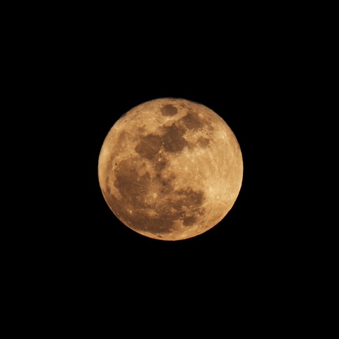 4/2 ４月の満月（月齢14.4）