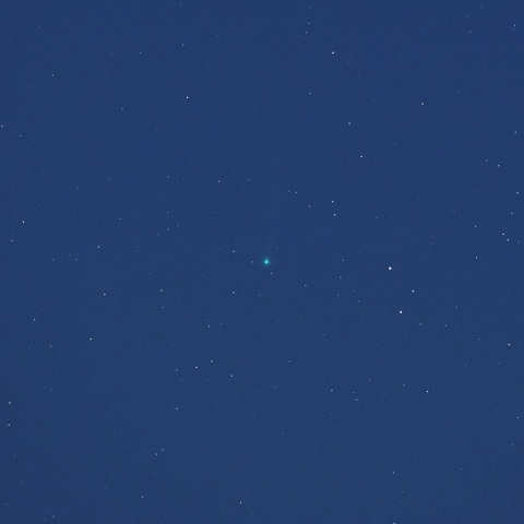 4/3未明 月夜のパンスターズ彗星(C/2025 R3)