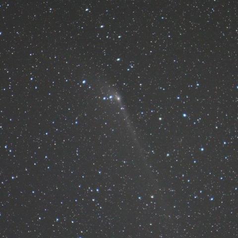 ５／１８未明　パンスターズ彗星（C/2011 L4）