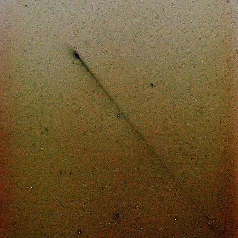 ５／２４未明　パンスターズ彗星（Ｃ／２０１１ Ｌ４）のアンチテイル