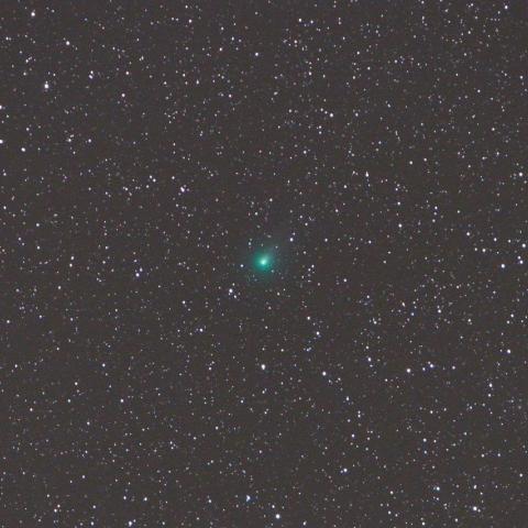 １１／１未明　ラブジョイ彗星（Ｃ／２０１３ Ｒ１）