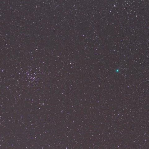 １１／５未明　ラブジョイ彗星（Ｃ／２０１３ Ｒ１）とＭ４４プレセペ星団