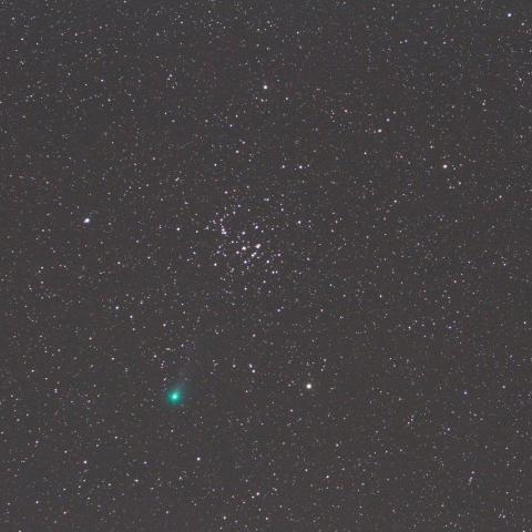 １１／８未明　ラブジョイ彗星（C/2013 R1）とＭ４４プレセペ星団