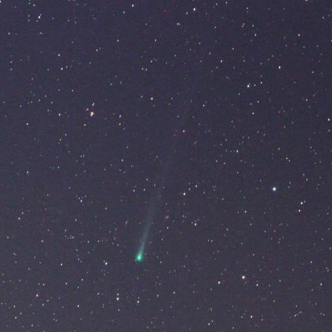 １１／１４未明　アイソン彗星（Ｃ／２０１２ Ｓ１）