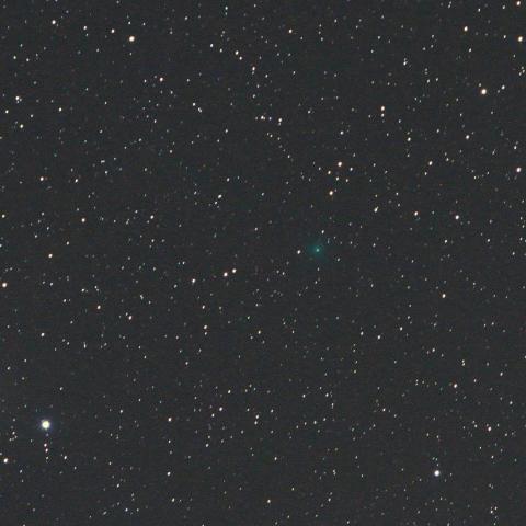 12/5未明 明るいネフスキー彗星(C/2013 V3)