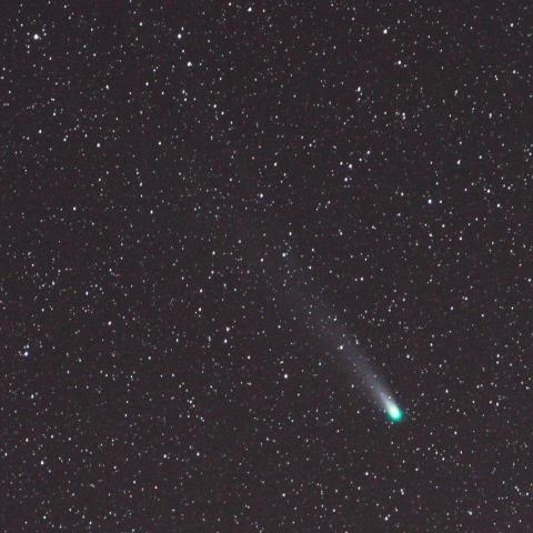 １／７未明　ラブジョイ彗星（C/2013 R1）