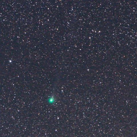 ８／７未明　ジャック彗星（C/2014 E2）