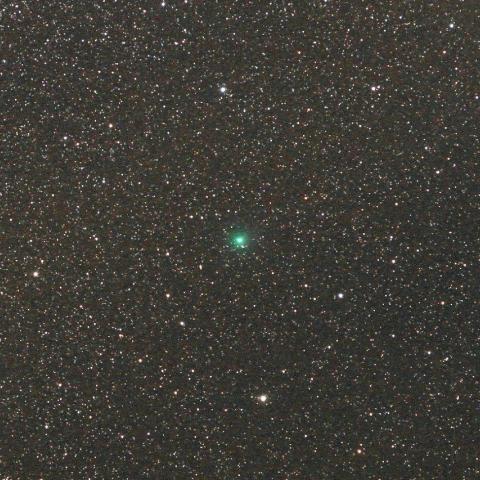 １１／２８未明　ラブジョイ彗星（C/2014 Q2）順調です