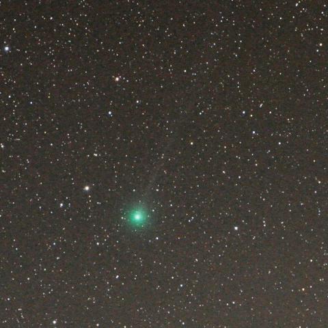 １２／１９未明　ラブジョイ彗星（C/2014 Q2）に尾が出た