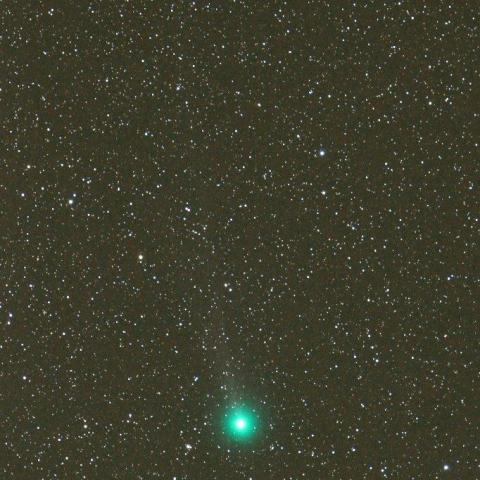 １２／２５　ラブジョイ彗星（C/2014 Q2）の尾はどこに行った？？