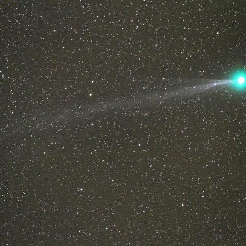 １／８　ラブジョイ彗星（C/2014 Q2）の尾が凄い！