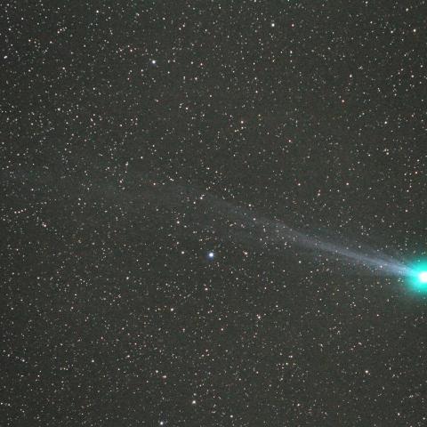 １／１３　ラブジョイ彗星（C/2014 Q2）