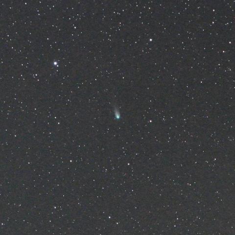 1/20　初見初撮りのフィンレー彗星（１５Ｐ）