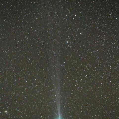 1/24　ラブジョイ彗星（C/2014 Q2）