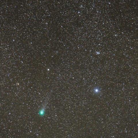 3/31　ラブジョイ彗星（C/2014 Q2）