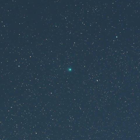 3/31未明　ラブジョイ彗星（C/2014 Q2）